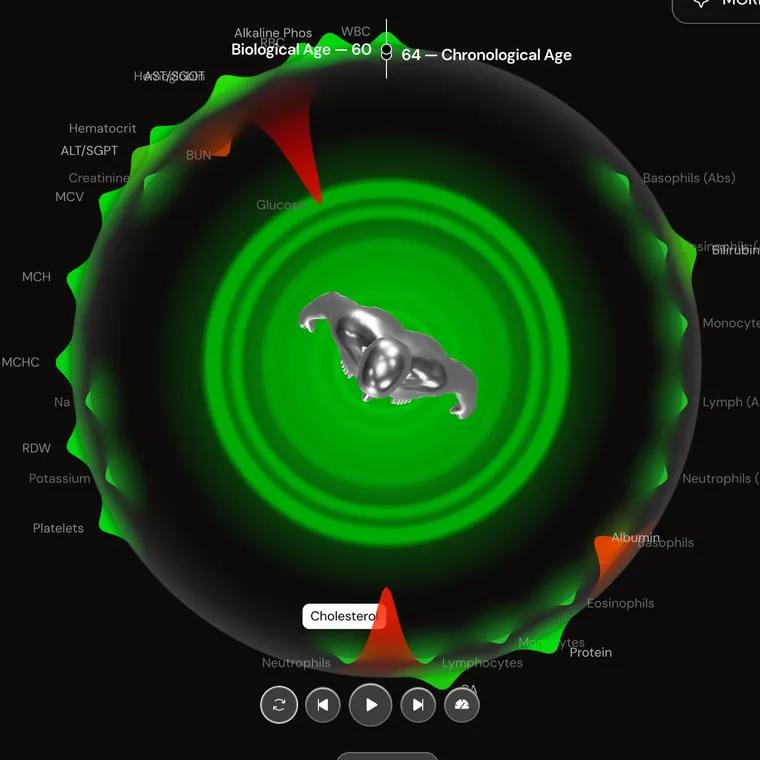 The MORRB Sphere with an avatar at its centre